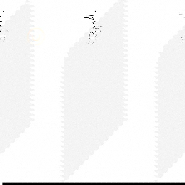 Blank Tag: 6-1/4'' High, White, Synthetic Paper